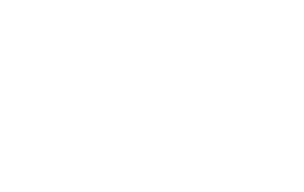 CRS Consultants